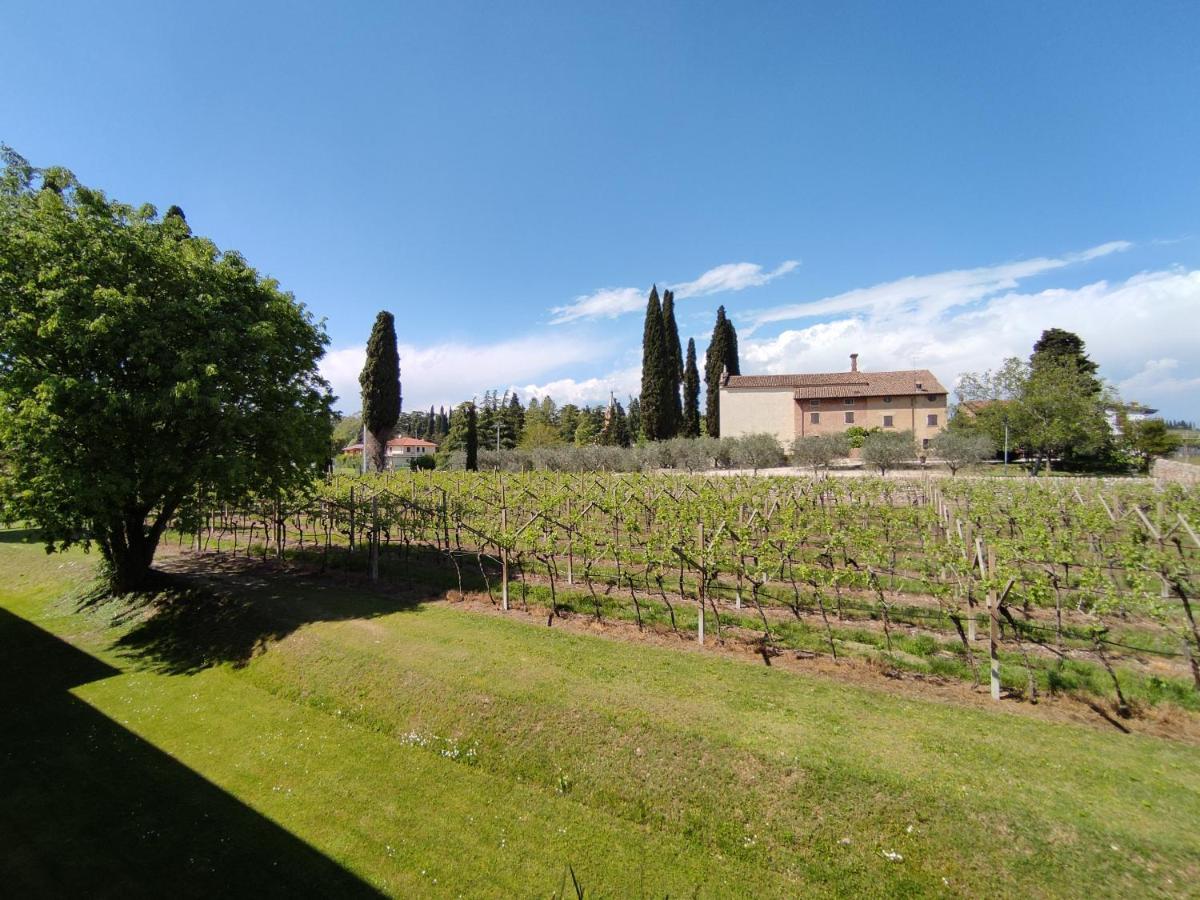 Agriturismo La Vigna Colà Extérieur photo